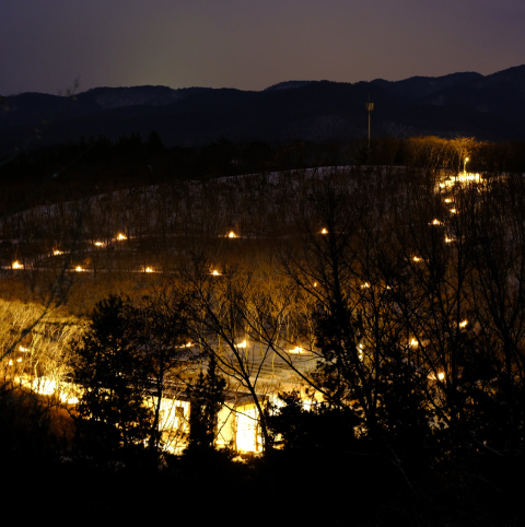 대구 군위 사유원 관람 예약