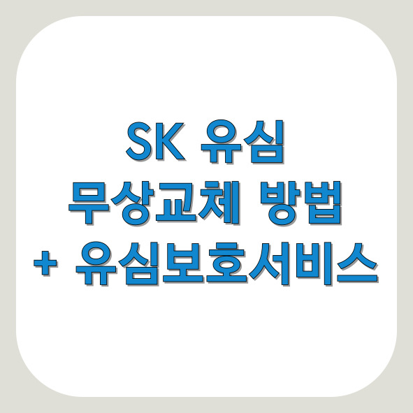 SK 유심 무료교체 방법 (+ 유심보호서비스 설명)