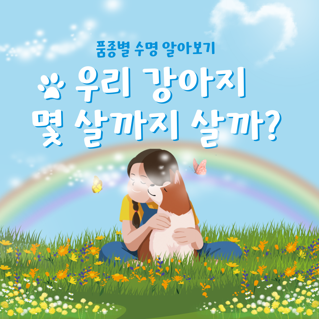 품종별 수명에 대한 사진