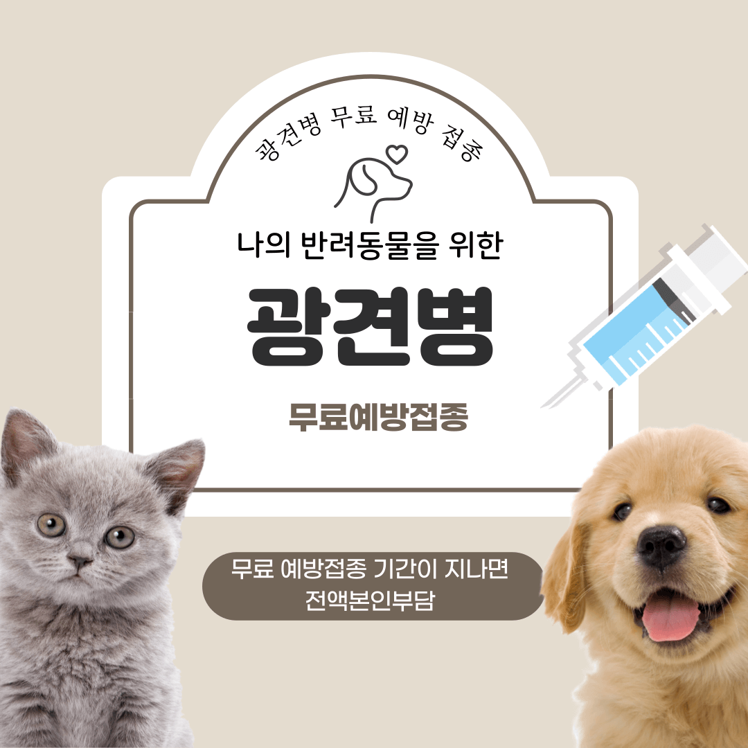 광견병 예방접종,광견병 무료예방접종,광견병 접종기간,광견병 예방접종기간,광견병 무료접종,서울 광견병 예방접종,경기 광견병 예방접종, 광역시 광견병 예방접종, 예방접종 비용, 반려견,반려묘,반려동물,애완동물,애완견