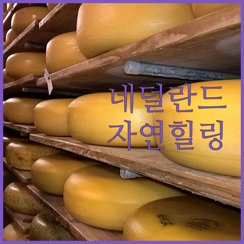 프리스란트 베이두메르하우트 호텔, 자..
