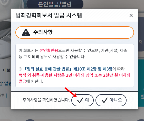범죄경력회보서 발급 시스템 홈페이지.