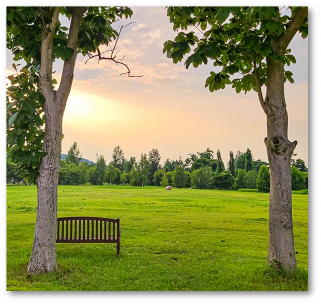 강천섬 유원지3