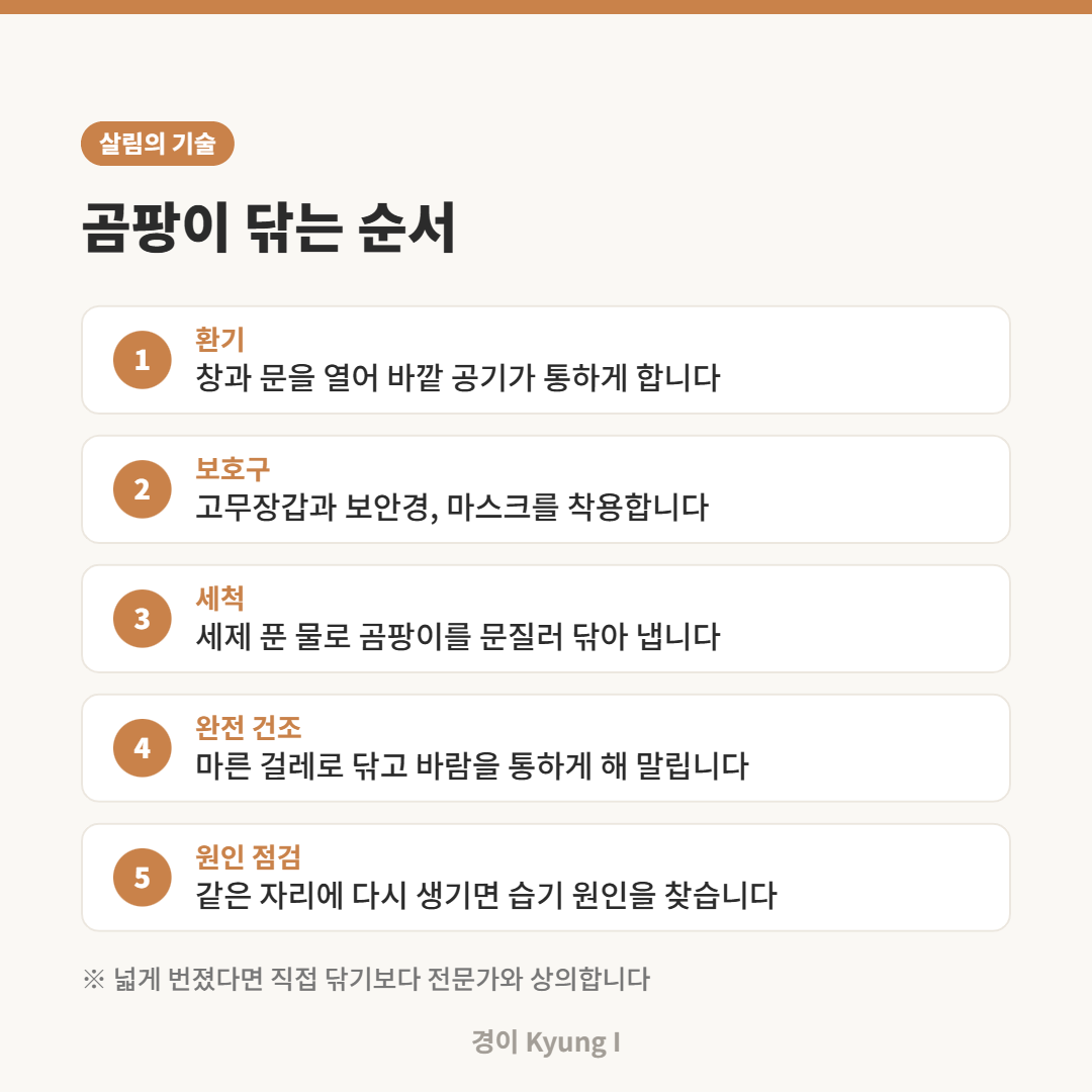 환기, 보호구 착용, 세척, 완전 건조, 원인 점검으로 이어지는 곰팡이 청소 5단계 카드