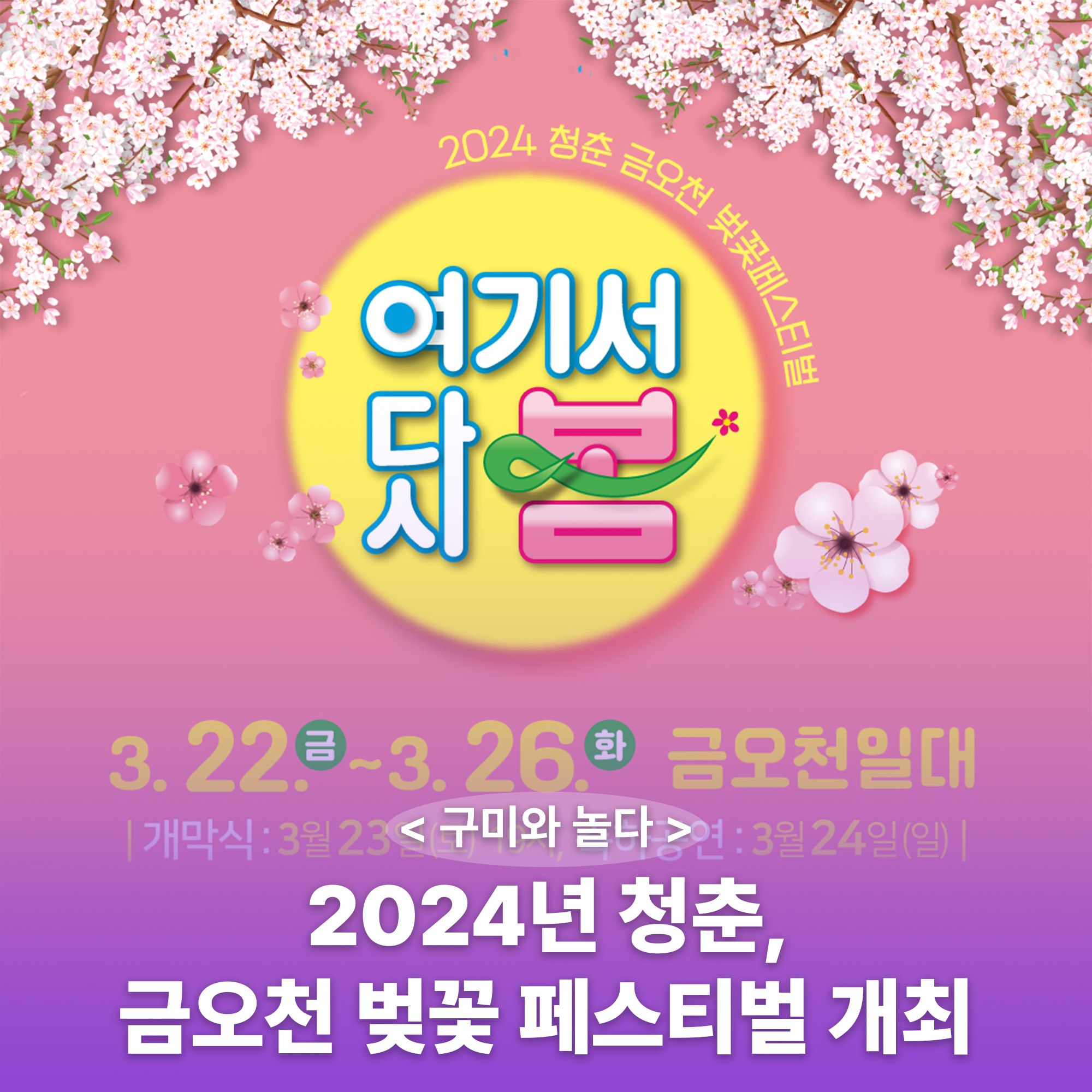 2024 청춘 금오천 벚꽃페스티벌 여기서 다시 봄 축제 기본일정과 프로그램 일정