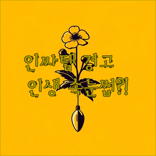 인싸템 경고🚨 5D 볼륨 마스카라 써