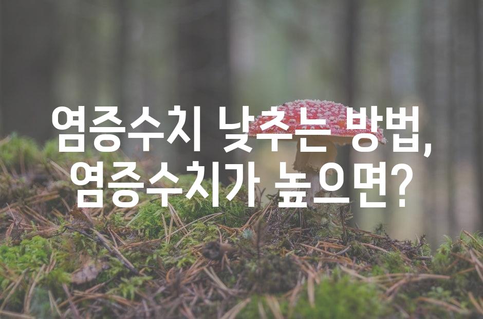 샘플 (42)