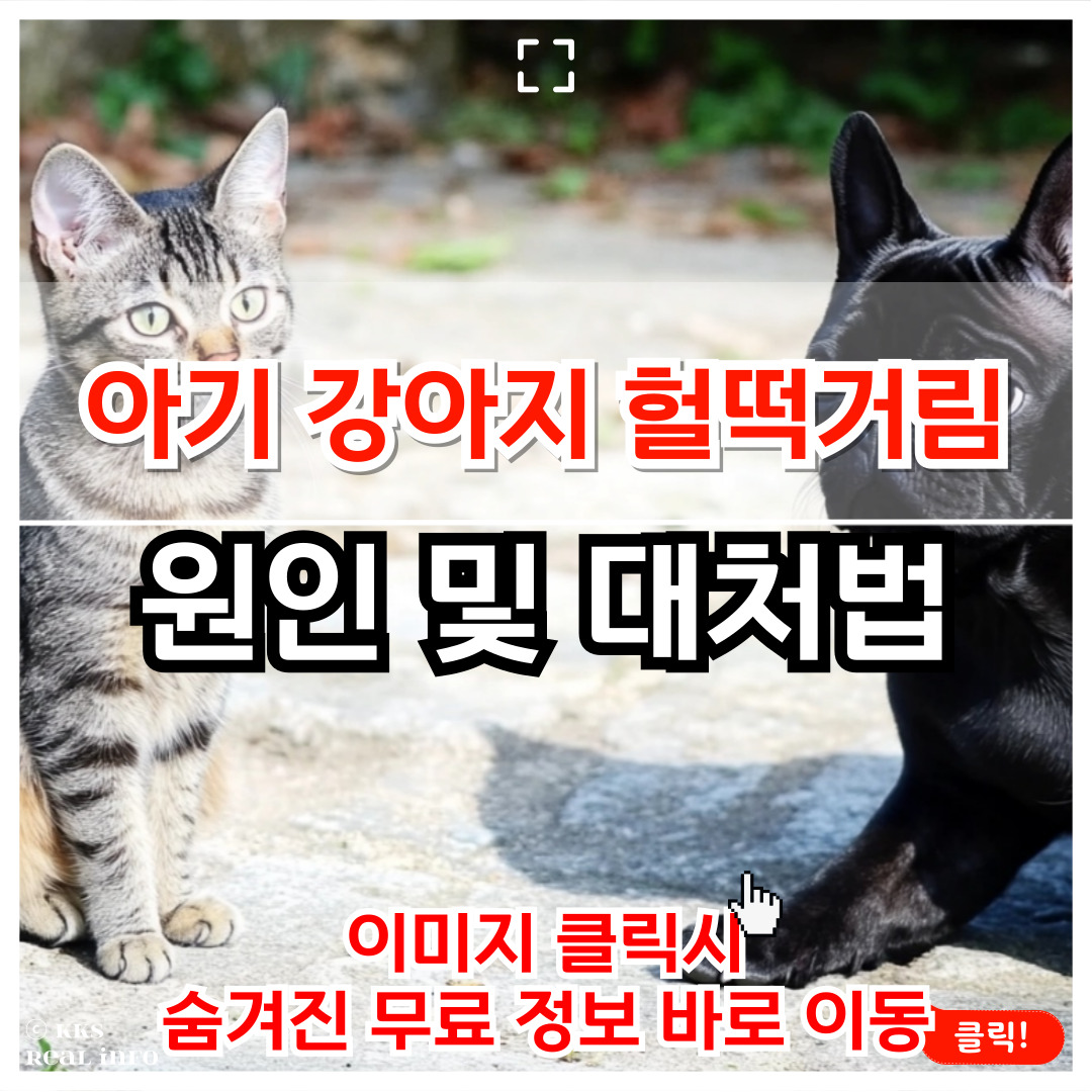 아기 강아지가 헐떡거림 이유와 대처법