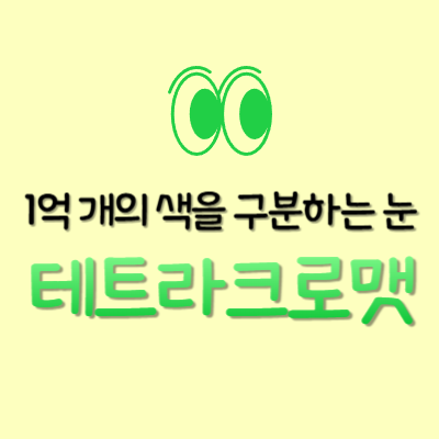 테트라크로맷 특징 썸네일