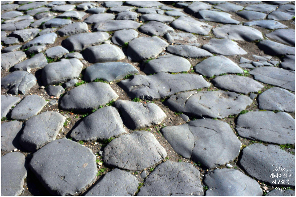 오스티아 안티카