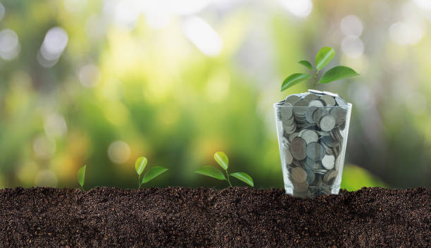 종잣돈 모으는 5가지 전략