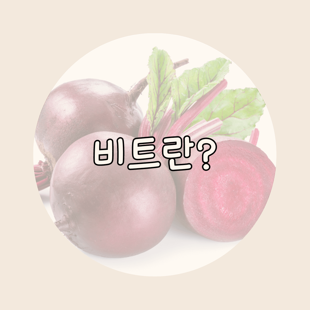 비트란
