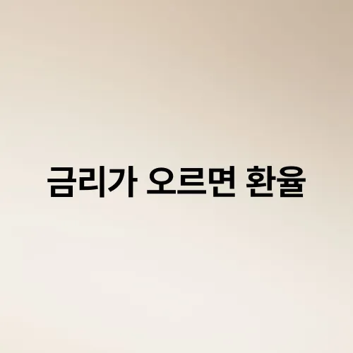 금리가 오르면 환율