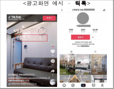 분양사업자가 임대차 중개대상물광고-사례