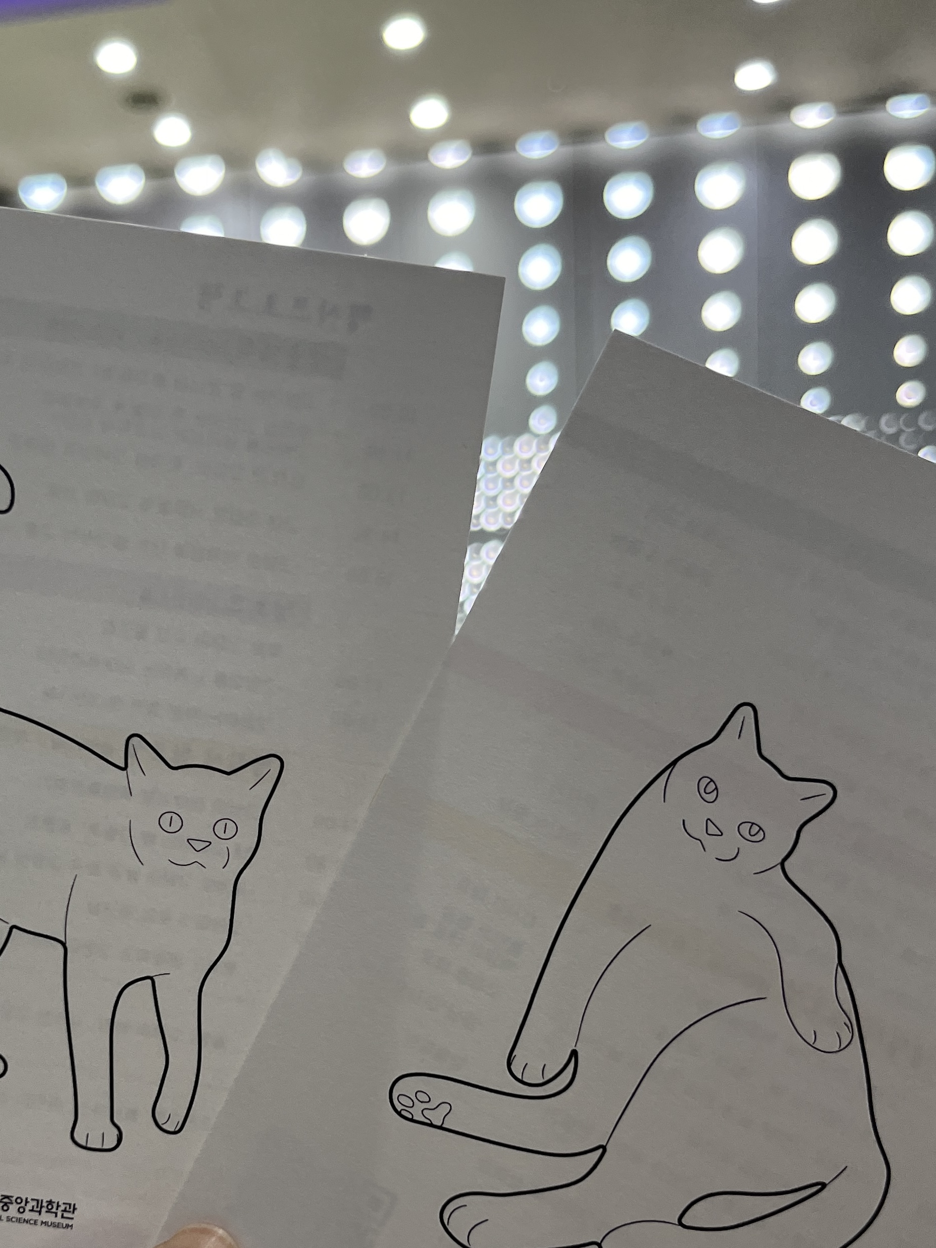 냥냥이학술대회