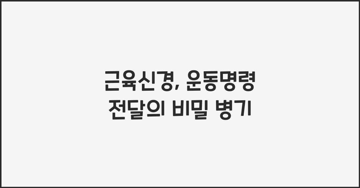 근육신경, 운동명령 전달