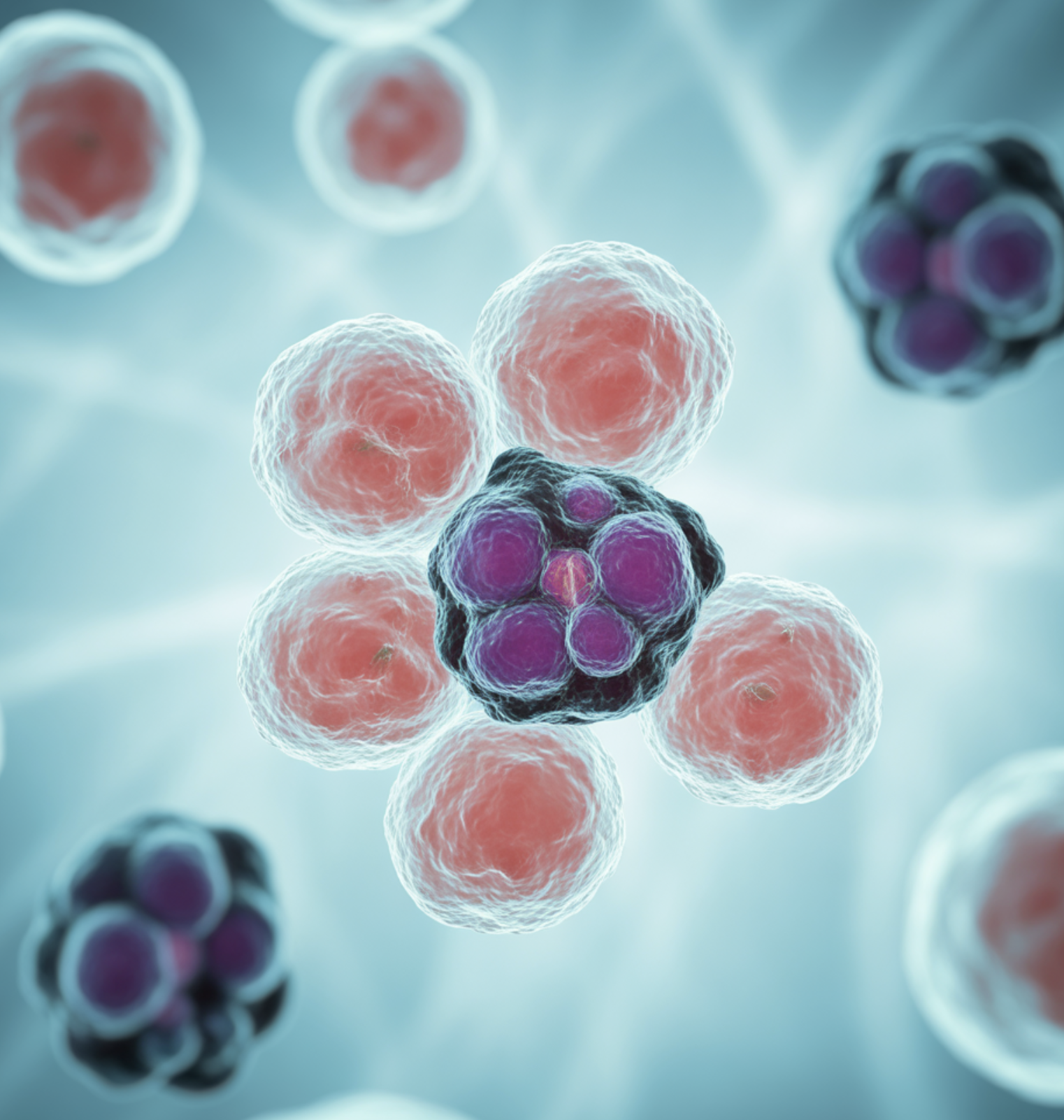 조용한 암살자&amp;#44; &amp;#39;암의 전 단계&amp;#39;를 잡아내다