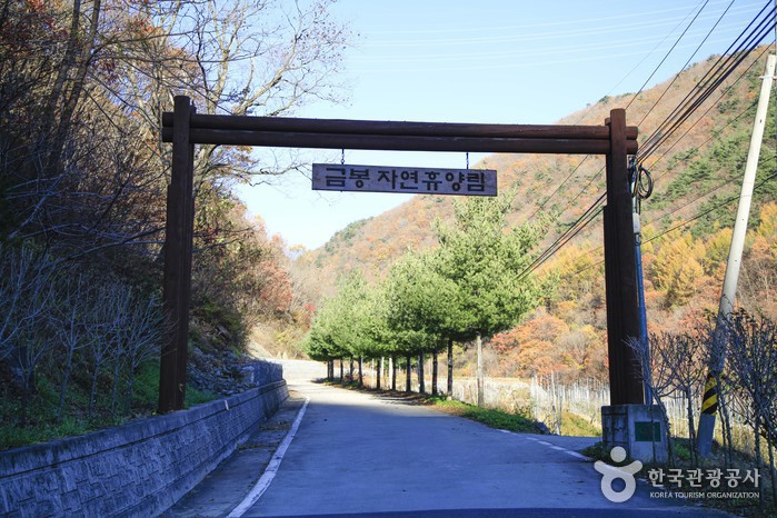 의성 가볼만한곳 베스트10