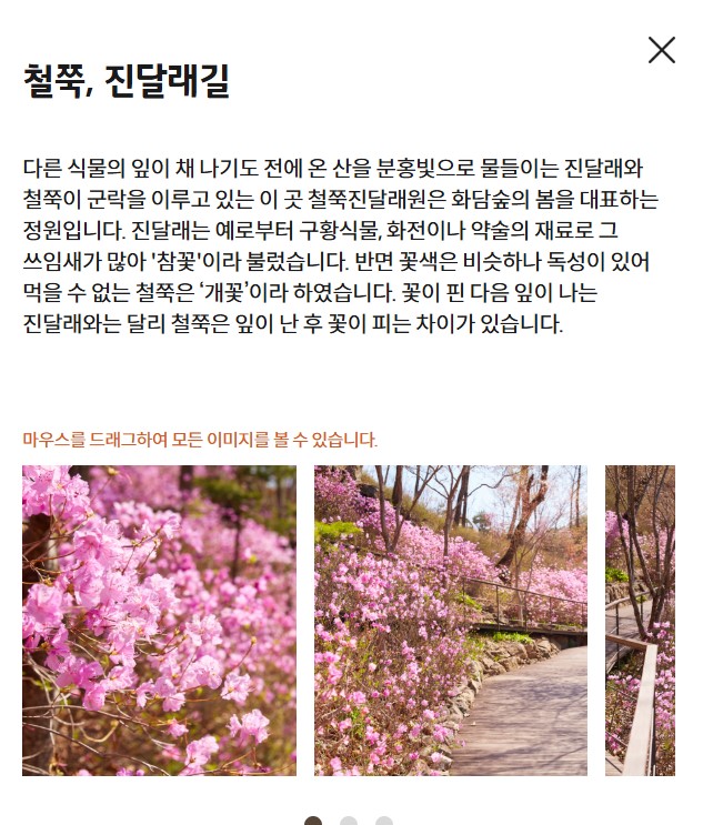 화담숲 테마중 진달래 철쭉 데마사진