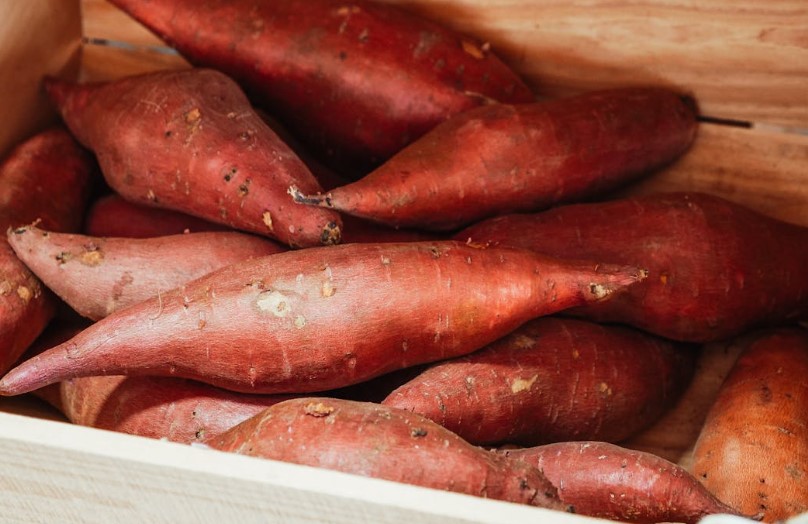겨울 제철 음식 고구마 효능 요리법 보관 방법