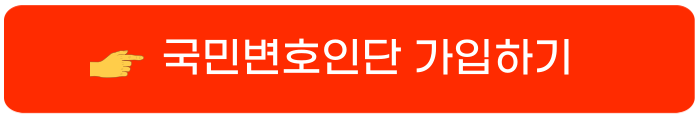 국민변호인단1