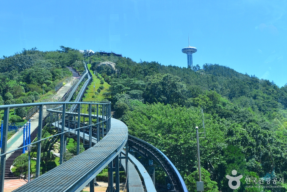 완도 가볼만한곳 베스트10