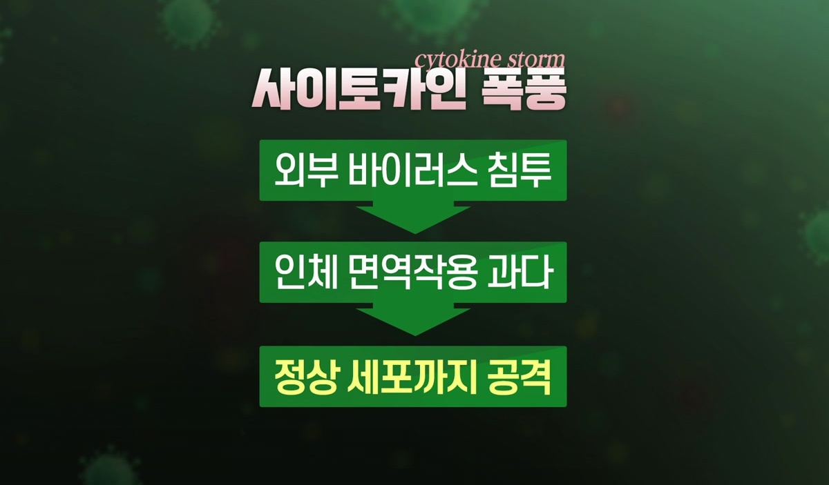 사이토카인 폭풍