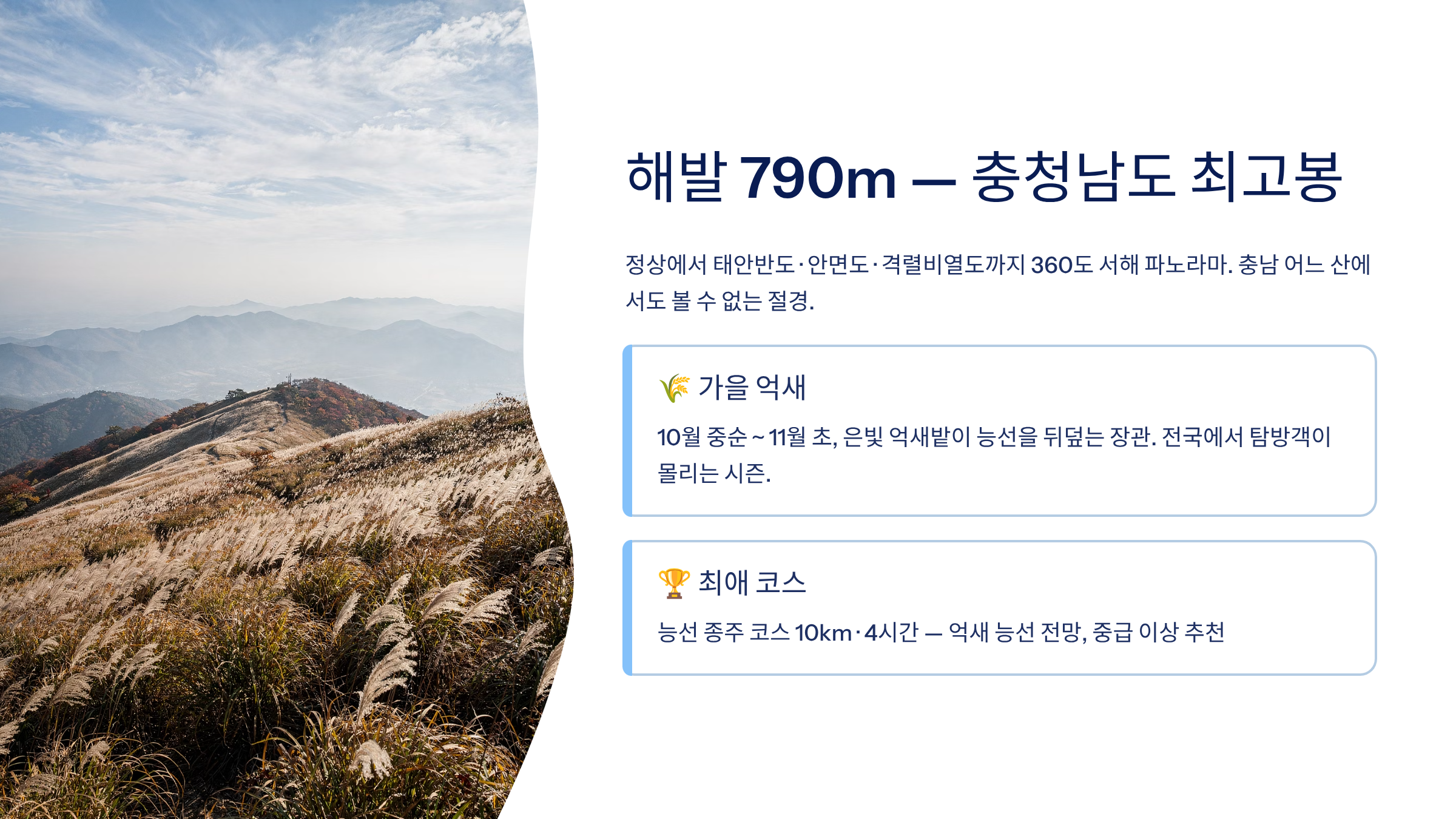 보령시 근교 산책&middot;달리기&middot;트레킹 명소 완벽 가이드 ❘ 머드축제 도시의 숨겨진 자연 액티비티