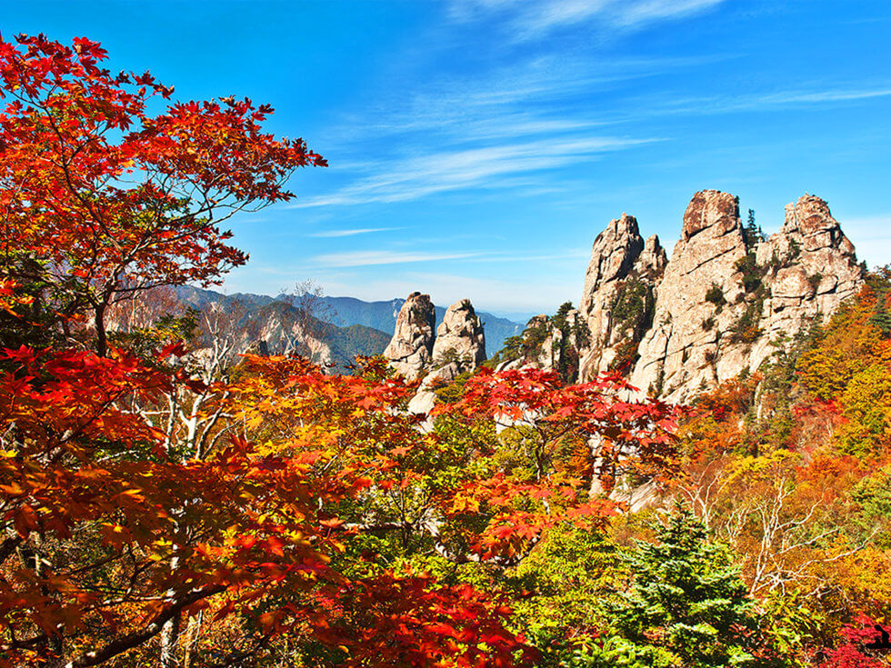 전국 단풍명소, 절정시기