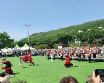 삼척 장미축제_8