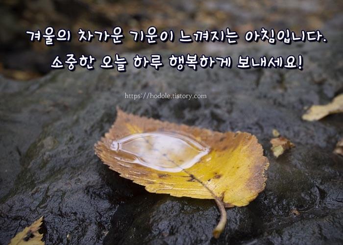 늦가을-안부인사