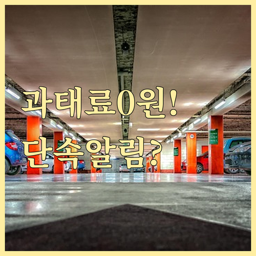 부산 동구 주정차 단속 알림 서비스 ..