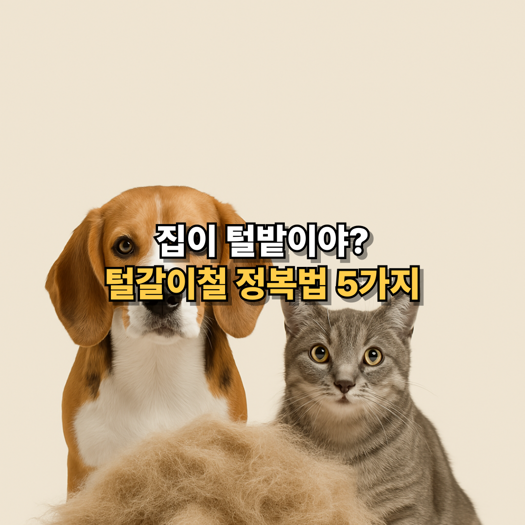 털갈이철 강아지·고양이 털 관리 꿀팁 5가지를 안내하는 썸네일 이미지, 털뭉치 앞에 반려동물 등장