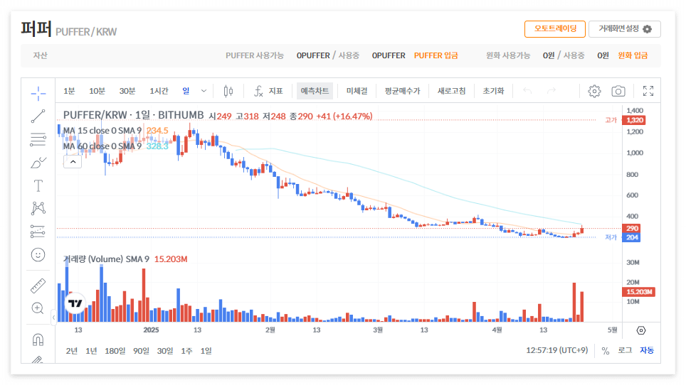 퍼퍼코인 시세 가격 전망