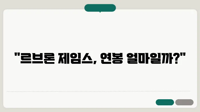 르브론 제임스 연봉