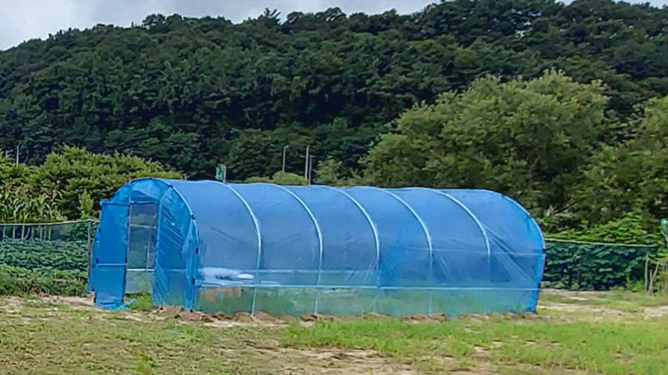 충주 농장 비닐하우스 설치 모습