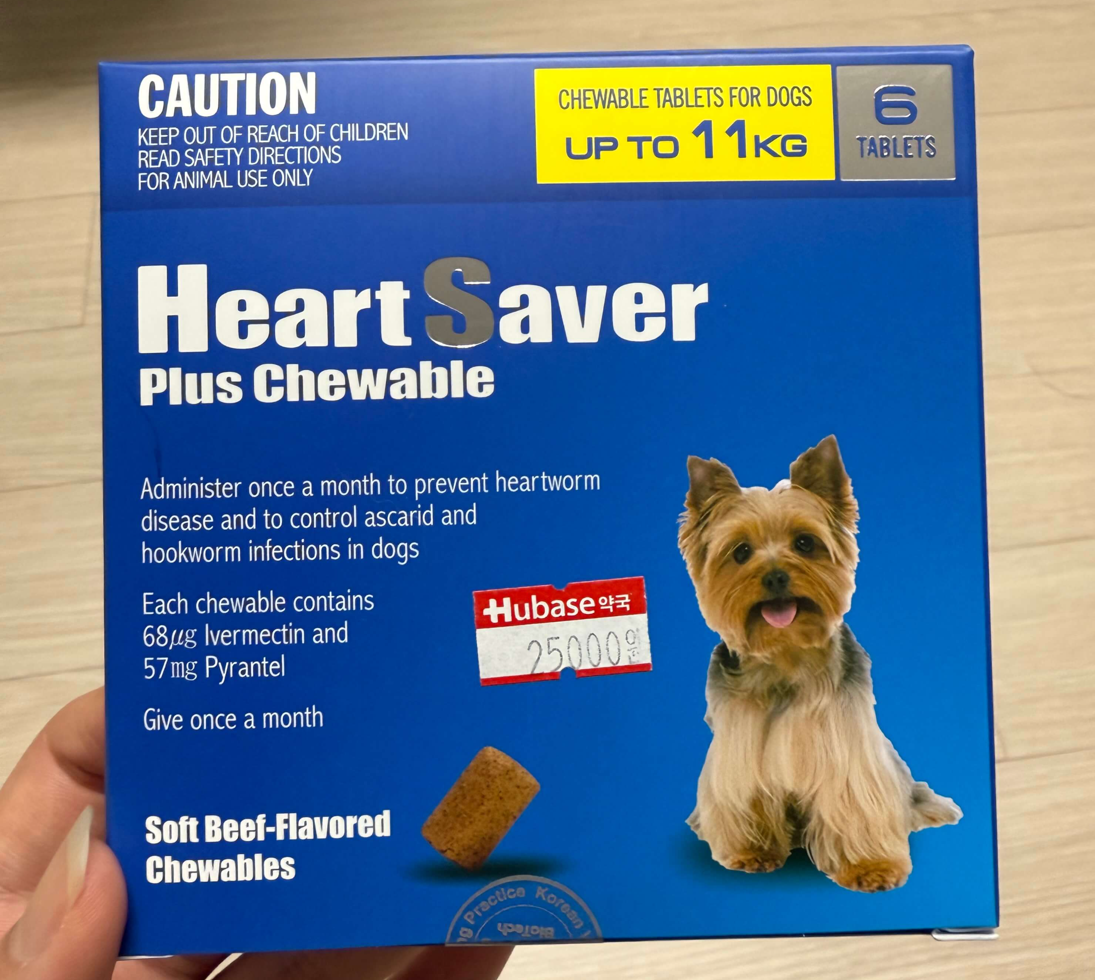 심장사상충약 추천