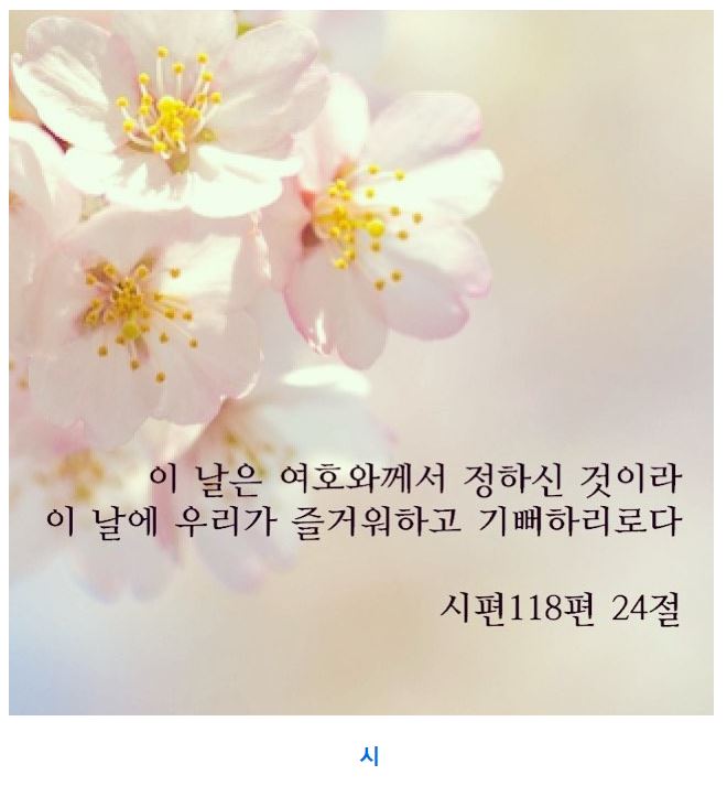 시편 118편