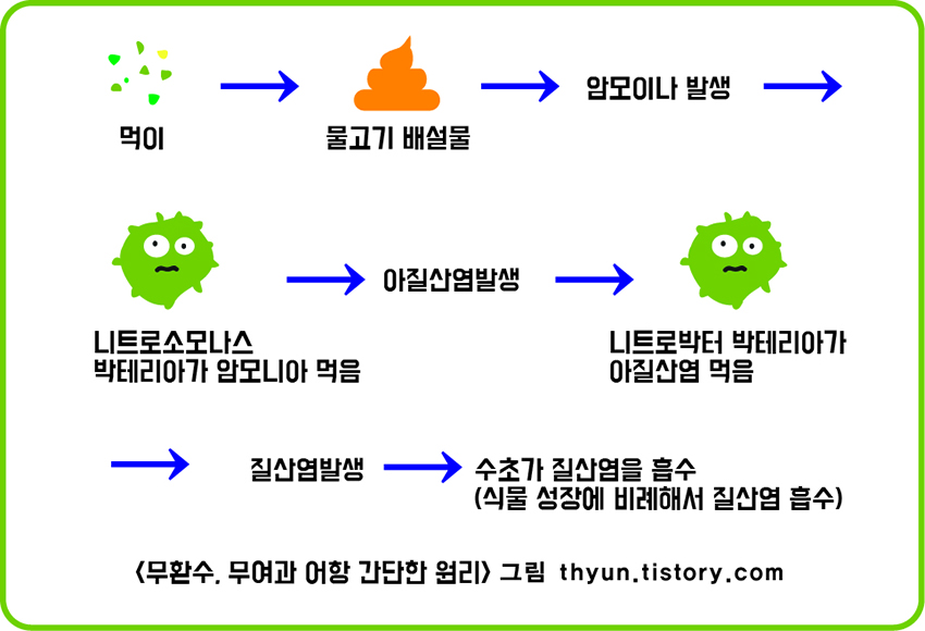 무환수 무여과 어항 원리