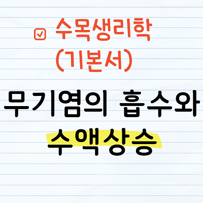 무기염의 흡수와 수액상승