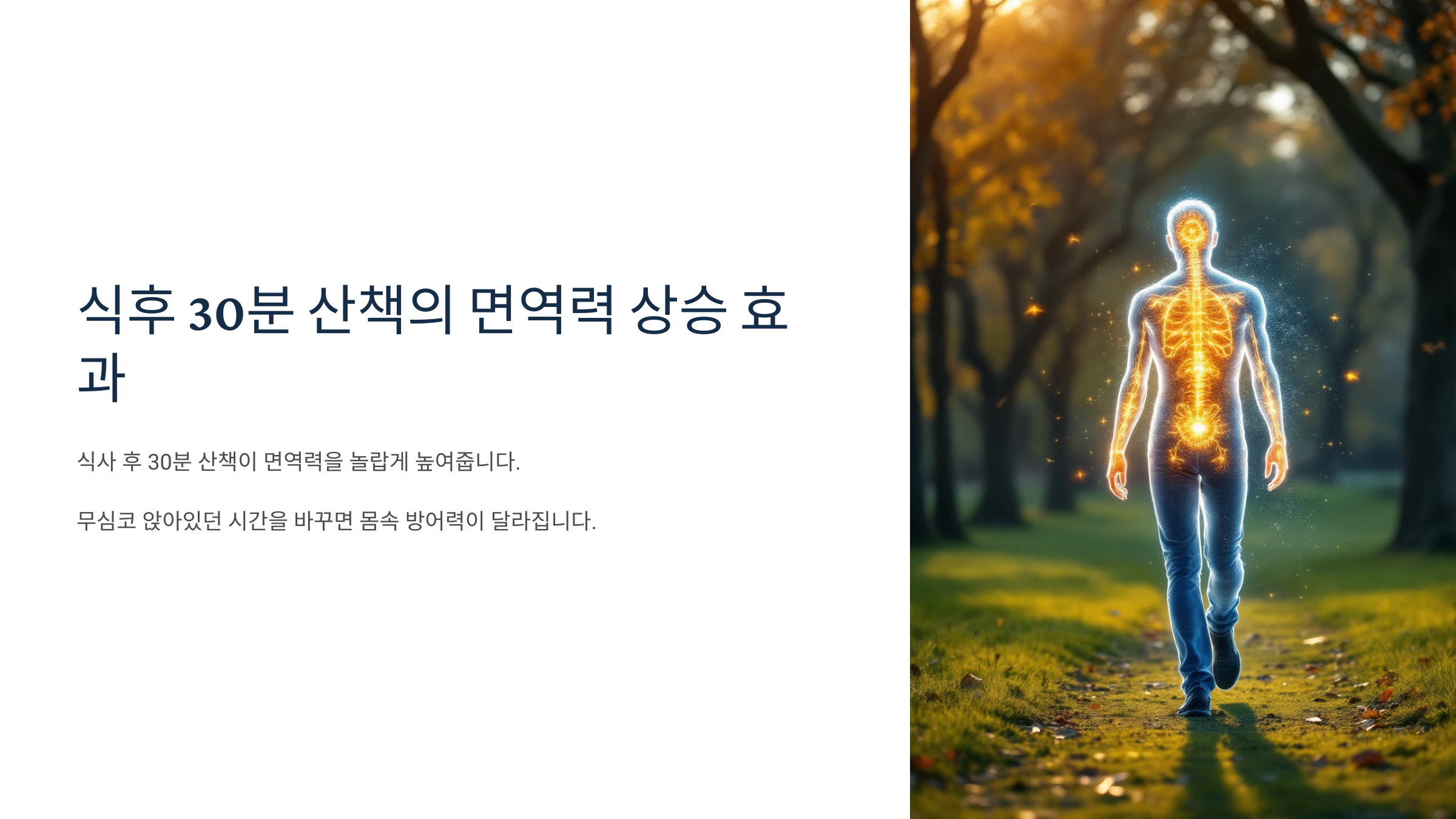 산책 면연력 상승 효과