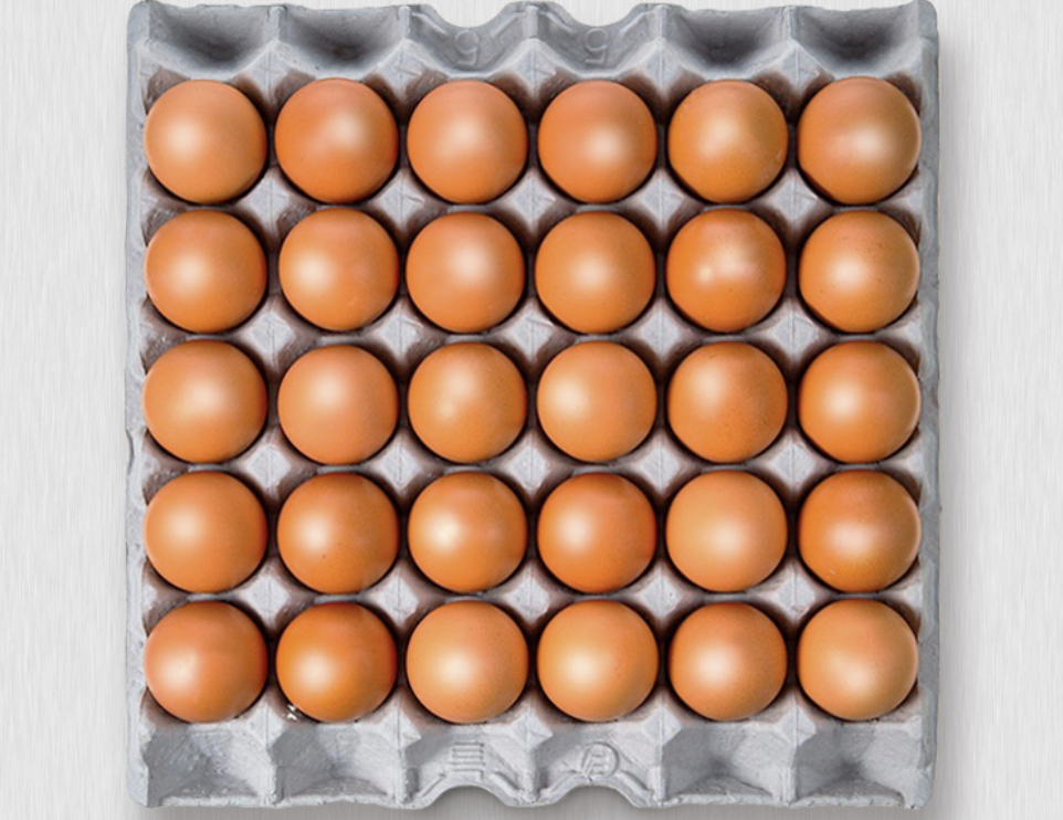 계란 일주일 식단 이미지