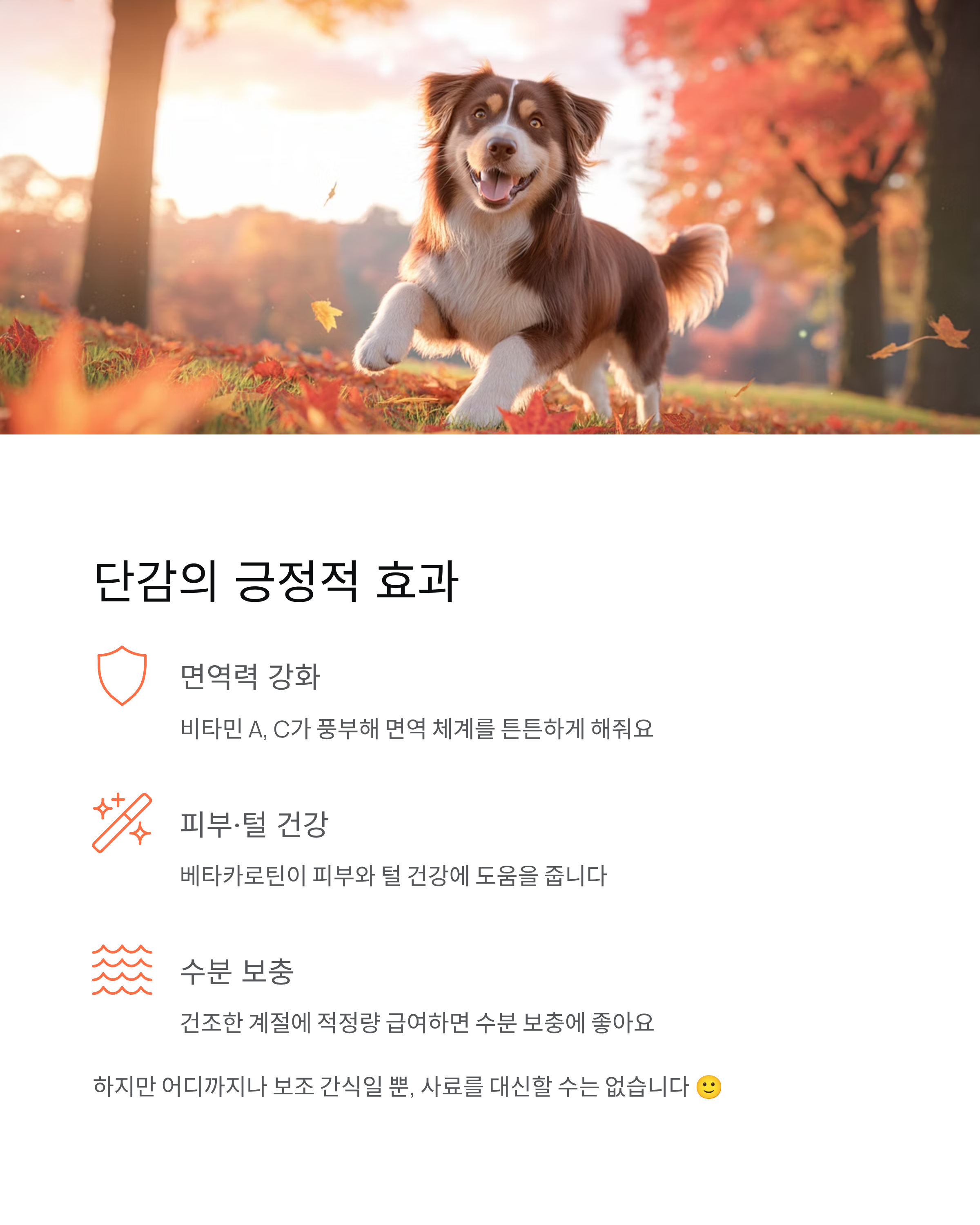 강아지 단감 먹어도 될까? 안전한 급여법과 주의사항 완전 정리 🍊