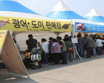 서천 자연산 광어 도미축제_16