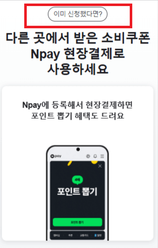 민생지원금 네이버페이