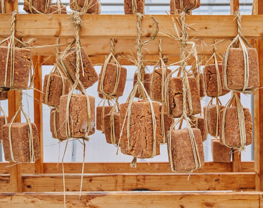 장건강에 좋은 음식 7가지