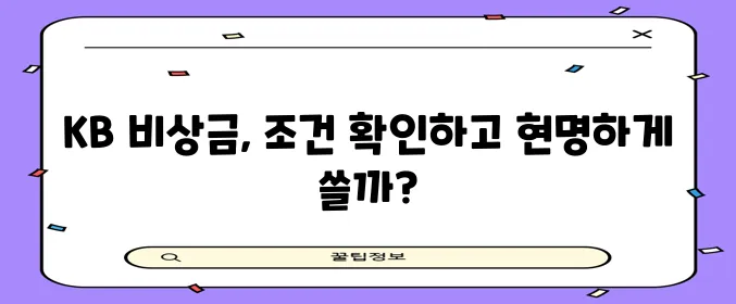 국민은행 비상금 대출 신청 방법 조건 금리 꼼꼼히 알아볼까요?