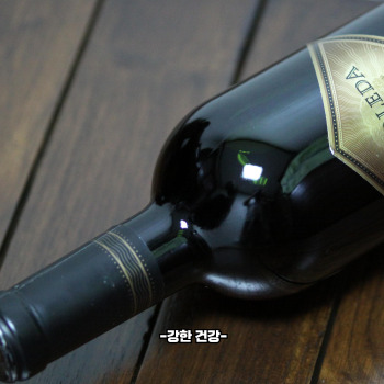 초파리 생기는 이유