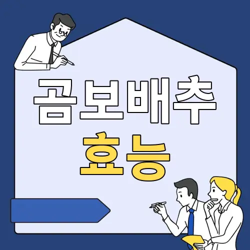 곰보배추 효능