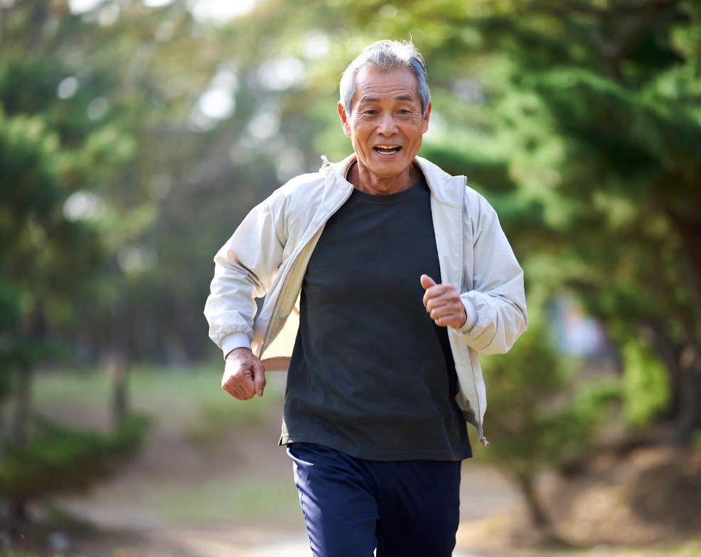 콘드로이친 효능